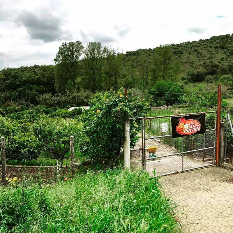 Huerta ecológica de La Casa del Duende, imagen 2