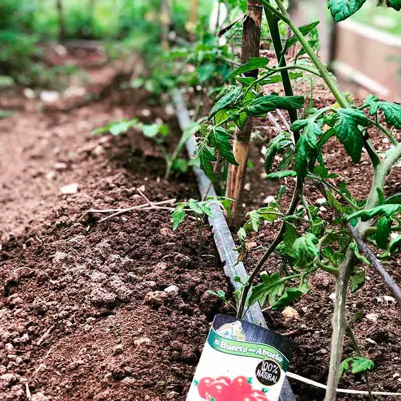 Huerta ecológica de La Casa del Duende, imagen 8